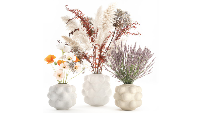 Conjunto de buquê de flores silvestres com pampas de lavanda e papoula Modelo 3D .c4d .max .obj .3ds .fbx .stl .blend