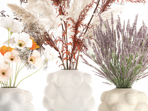 Conjunto de buqu&ecirc; de flores silvestres com pampas de lavanda e papoula Modelo 3D