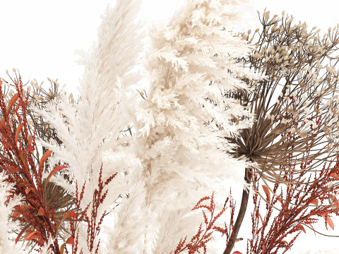 Conjunto de buqu&ecirc; de flores silvestres com pampas de lavanda e papoula Modelo 3D