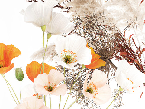 Conjunto de buqu&ecirc; de flores silvestres com pampas de lavanda e papoula Modelo 3D