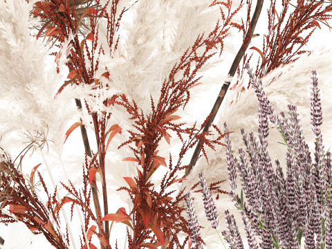 Conjunto de buqu&ecirc; de flores silvestres com pampas de lavanda e papoula Modelo 3D