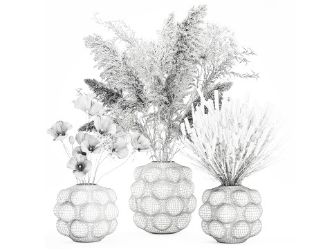 Conjunto de buqu&ecirc; de flores silvestres com pampas de lavanda e papoula Modelo 3D