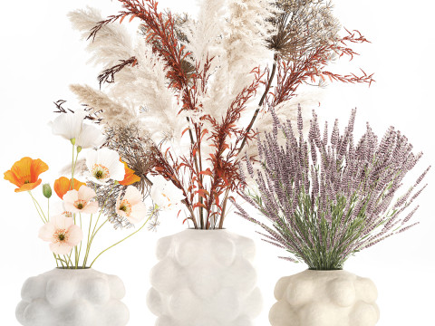 Conjunto de buqu&ecirc; de flores silvestres com pampas de lavanda e papoula Modelo 3D