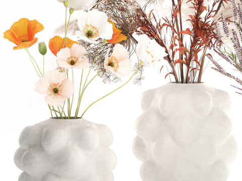 Conjunto de buqu&ecirc; de flores silvestres com pampas de lavanda e papoula Modelo 3D