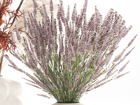 Conjunto de buqu&ecirc; de flores silvestres com pampas de lavanda e papoula Modelo 3D