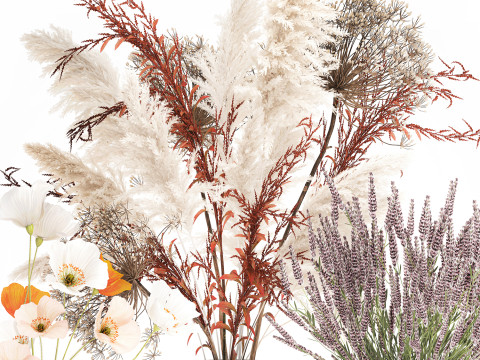 Conjunto de buqu&ecirc; de flores silvestres com pampas de lavanda e papoula Modelo 3D