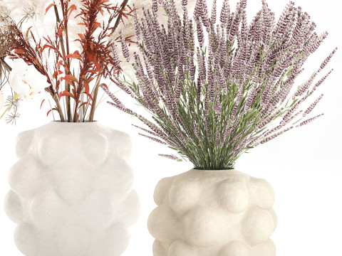 Conjunto de buqu&ecirc; de flores silvestres com pampas de lavanda e papoula Modelo 3D