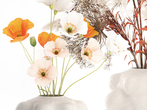 Conjunto de buqu&ecirc; de flores silvestres com pampas de lavanda e papoula Modelo 3D