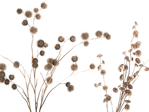 Autumn Bouquet Dried Branches Eucalyptus Thorns 3D Model