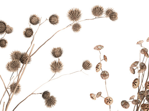 Autumn Bouquet Dried Branches Eucalyptus Thorns 3D Model