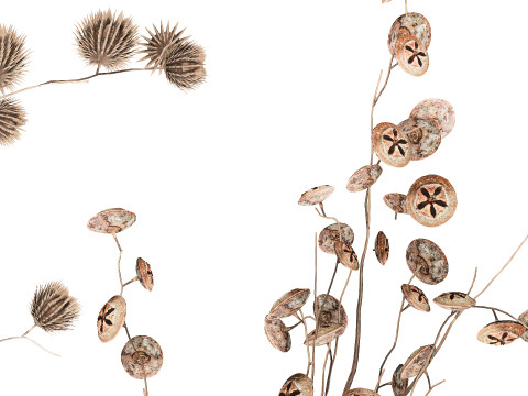 Autumn Bouquet Dried Branches Eucalyptus Thorns 3D Model