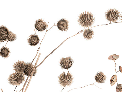 Autumn Bouquet Dried Branches Eucalyptus Thorns 3D Model