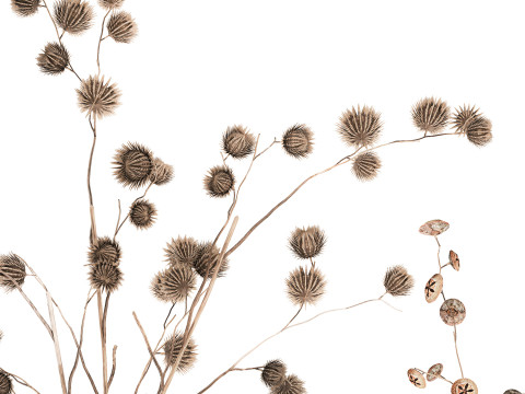 Autumn Bouquet Dried Branches Eucalyptus Thorns 3D Model