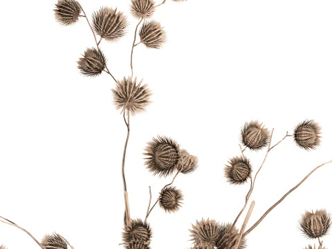 Buqu&ecirc; de outono, galhos secos, espinhos de eucalipto Modelo 3D