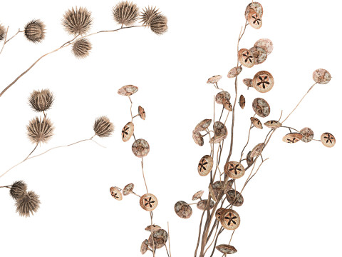 Autumn Bouquet Dried Branches Eucalyptus Thorns 3D Model