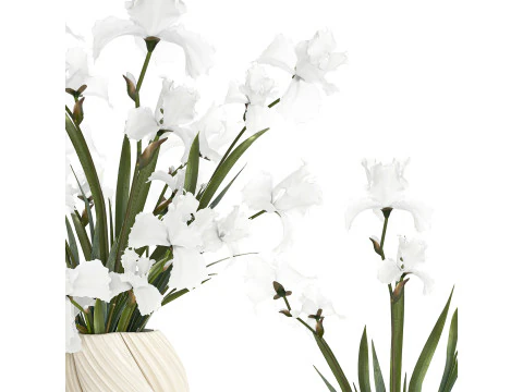 Prachtig realistisch boeket witte bloemen Iris vaas decor 3D Model