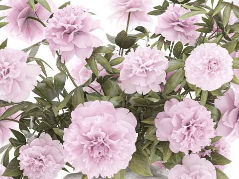 Bellissimo decoro per vaso di peonia con bouquet formale rosa Modello 3D