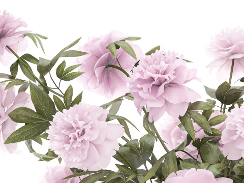 Beautiful pink Formal Bouquet Peony Vase Decor 3D Model