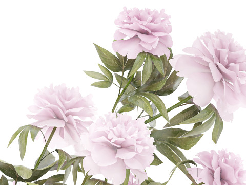 Bellissimo decoro per vaso di peonia con bouquet formale rosa Modello 3D