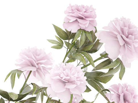 Beautiful pink Formal Bouquet Peony Vase Decor 3D Model