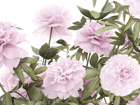 Bellissimo decoro per vaso di peonia con bouquet formale rosa Modello 3D