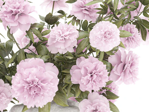 Beautiful pink Formal Bouquet Peony Vase Decor 3D Model