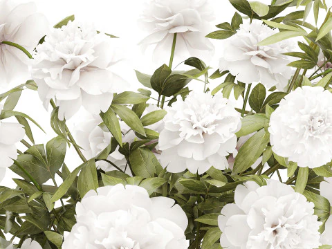 Lindo buqu&ecirc; formal exuberante pe&ocirc;nia de flores brancas Modelo 3D