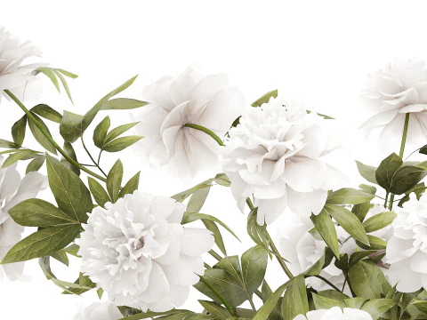 Lindo buqu&ecirc; formal exuberante pe&ocirc;nia de flores brancas Modelo 3D