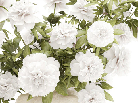 Lindo buqu&ecirc; formal exuberante pe&ocirc;nia de flores brancas Modelo 3D
