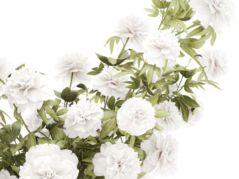 Lindo buqu&ecirc; formal exuberante pe&ocirc;nia de flores brancas Modelo 3D