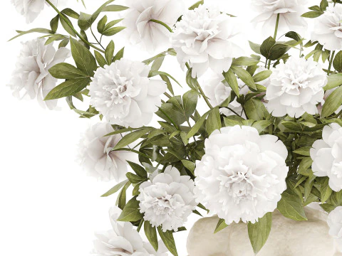 Lindo buqu&ecirc; formal exuberante pe&ocirc;nia de flores brancas Modelo 3D
