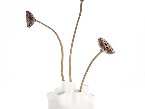 Un petit vase bouquet de fleurs s&eacute;ch&eacute;es avec branches de lotus Modèle 3D