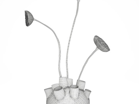 Un petit vase bouquet de fleurs s&eacute;ch&eacute;es avec branches de lotus Modèle 3D