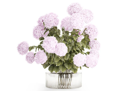 공식 부케 핑크 수국 꽃 꽃병 장식 3D 모델