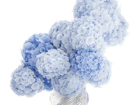 Офіційний букет квітів скляна ваза синій гортензії декор 3D Модель