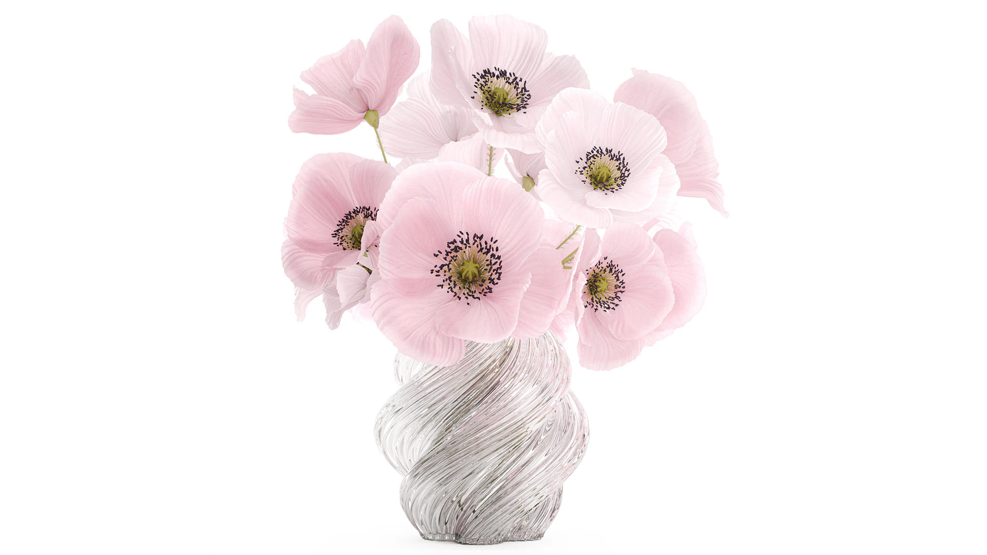 Realistic flower bouquet pink Icelandic poppy vase decor 3D Model .c4d .max .obj .3ds .fbx .stl .blend 