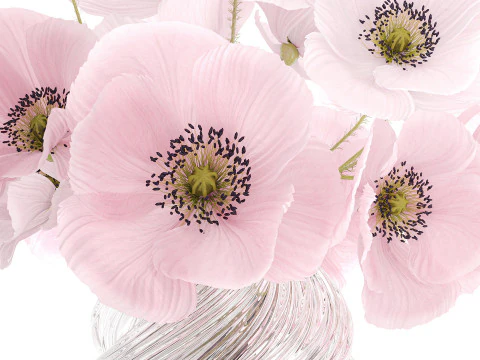Realistic flower bouquet pink Icelandic poppy vase decor 3D Model