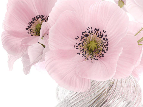 Realistic flower bouquet pink Icelandic poppy vase decor 3D Model