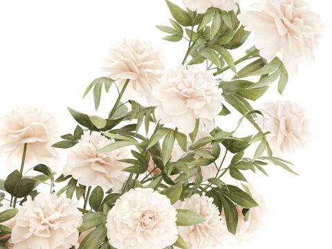 Delicato bouquet formale in vaso di vetro con decorazioni di fiori di peonia Modello 3D