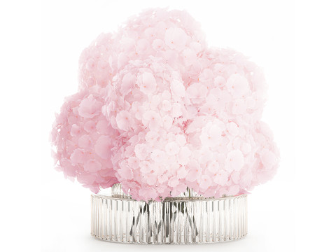 Cole&ccedil;&atilde;o de buqu&ecirc;s rosa realistas com decora&ccedil;&atilde;o de vaso de 5 flores Modelo 3D