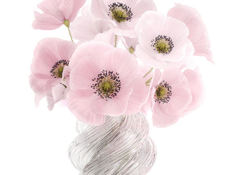Collection realistic pink bouquets 5 flowers vase decor 3D Model