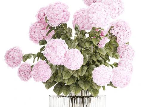 Collection realistic pink bouquets 5 flowers vase decor 3D Model