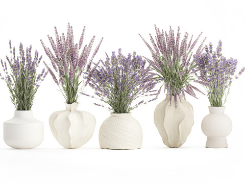 Cole&ccedil;&atilde;o de buqu&ecirc;s realistas com 5 flores de lavanda e decora&ccedil;&atilde;o de vaso Modelo 3D