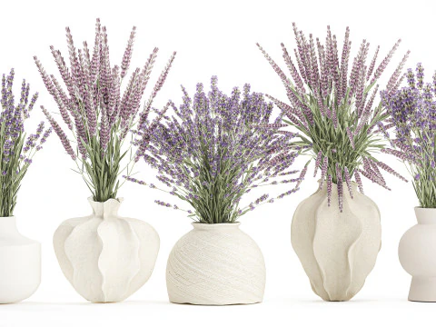 Collection realistic bouquets 5 lavender flowers vase decor 3D Model