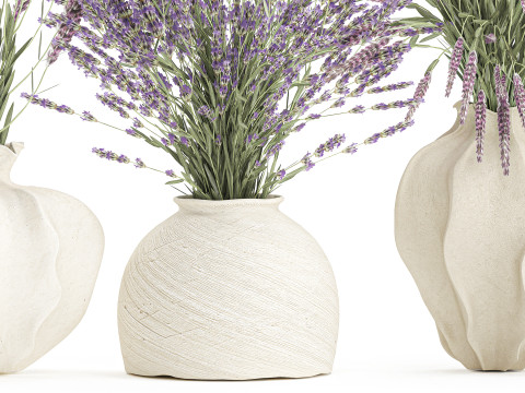 Cole&ccedil;&atilde;o de buqu&ecirc;s realistas com 5 flores de lavanda e decora&ccedil;&atilde;o de vaso Modelo 3D