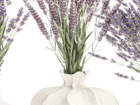 Collection realistic bouquets 5 lavender flowers vase decor 3D Model