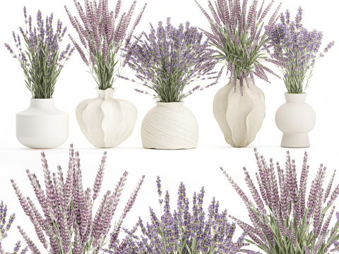 Cole&ccedil;&atilde;o de buqu&ecirc;s realistas com 5 flores de lavanda e decora&ccedil;&atilde;o de vaso Modelo 3D