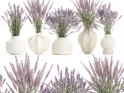 Collection realistic bouquets 5 lavender flowers vase decor 3D Model