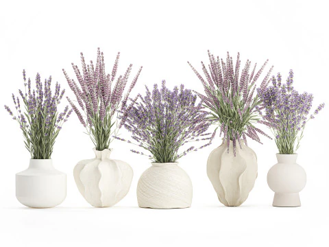 Collection realistic bouquets 5 lavender flowers vase decor 3D Model