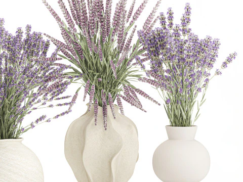 Collection realistic bouquets 5 lavender flowers vase decor 3D Model